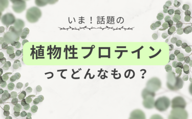植物性プロテインとは？おすすめは？動物性との違いや効果を詳しく解説