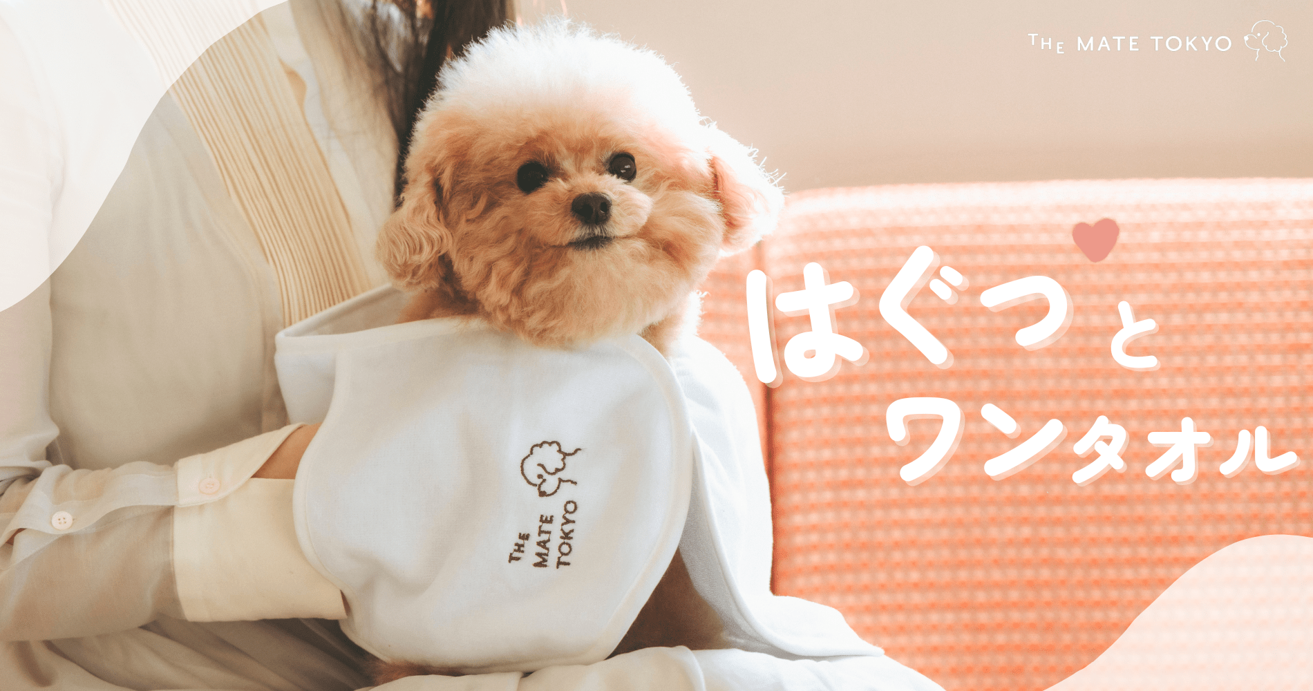 【新商品】愛犬を優しく包み込むタオルケア。ハグする感覚で使える「はぐっとワンタオル」1月24日より先行発売開始