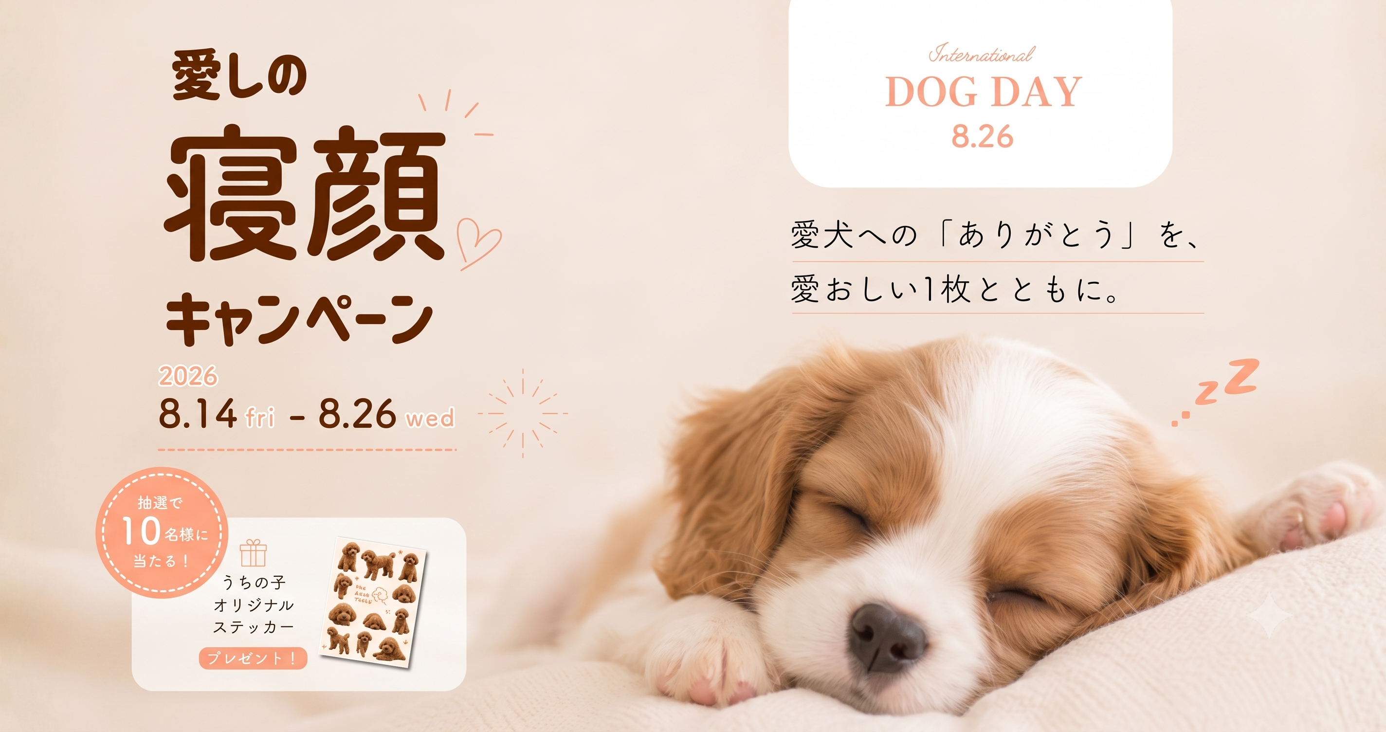The Mate Tokyo、国際犬の日に合わせて愛犬の寝顔を募集する「愛しの寝顔キャンペーン」を8月14日より開催