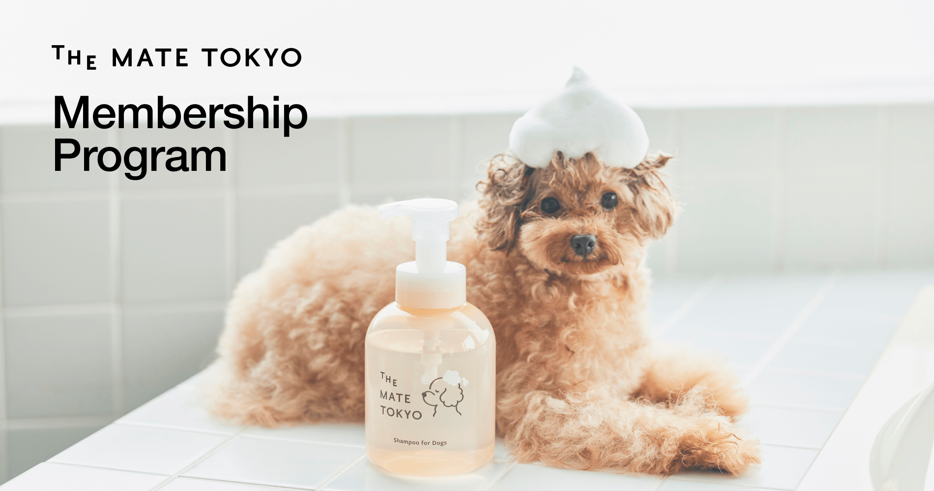 愛犬・愛猫のスキンケアブランド「The Mate Tokyo」公式オンラインストアで会員プログラムを開始